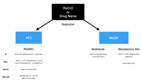 MedCodes: Streamlining Clinical Data Standardization and Interpretation in Python