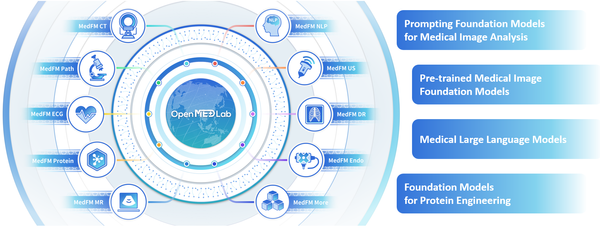 OpenMedLab: Empowering Healthcare Innovation with Open-Source Solutions