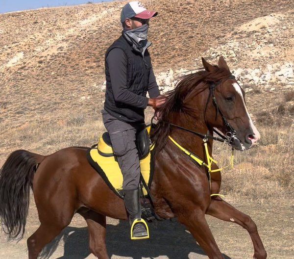 Beyond Strava: Why This Free Open-Source Tracker Became My Go-To for Mountain Biking (Not There For Equestrians Yet)