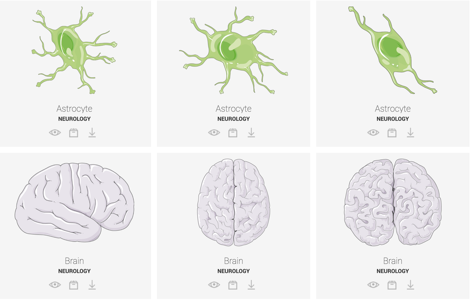 Get 3000+ Medical Images and Illustration for free from SMART