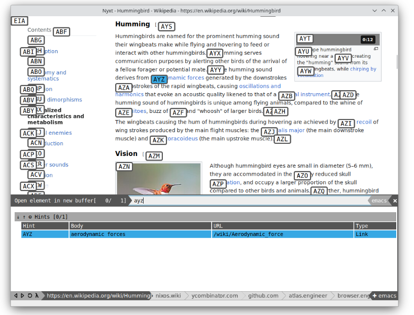 Nyxt is a Highly Configurable and Hackable Web browser for Hackers