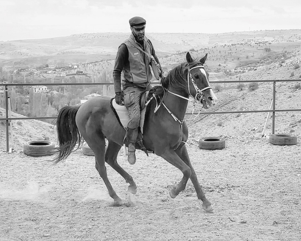 العلاج و التداوى من خلال ركوب الخيل, مرحلة جديدة و انشغال لمدة سنتين ماضيتين.